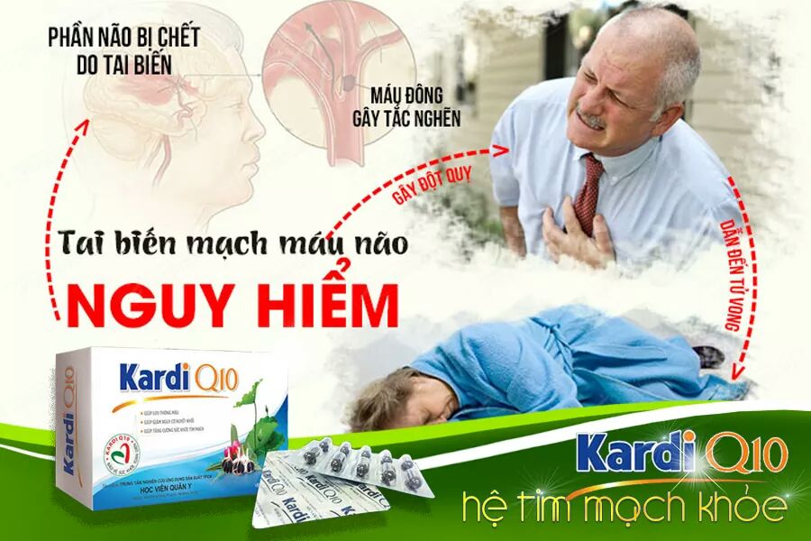 kardi q10 mon qua cho trai tim