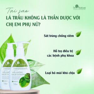 dung dich danh cho me bau va sau sinh